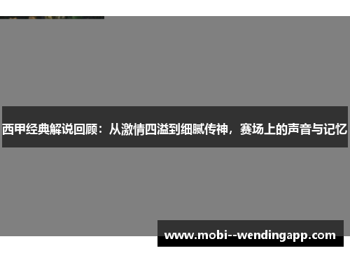 西甲经典解说回顾：从激情四溢到细腻传神，赛场上的声音与记忆