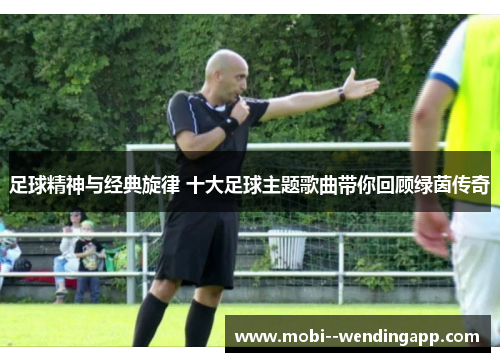 足球精神与经典旋律 十大足球主题歌曲带你回顾绿茵传奇