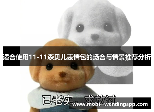 适合使用11-11森贝儿表情包的场合与情景推荐分析