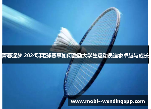 青春逐梦 2024羽毛球赛事如何激励大学生运动员追求卓越与成长