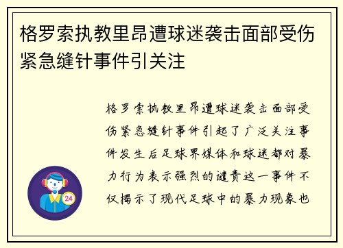格罗索执教里昂遭球迷袭击面部受伤紧急缝针事件引关注